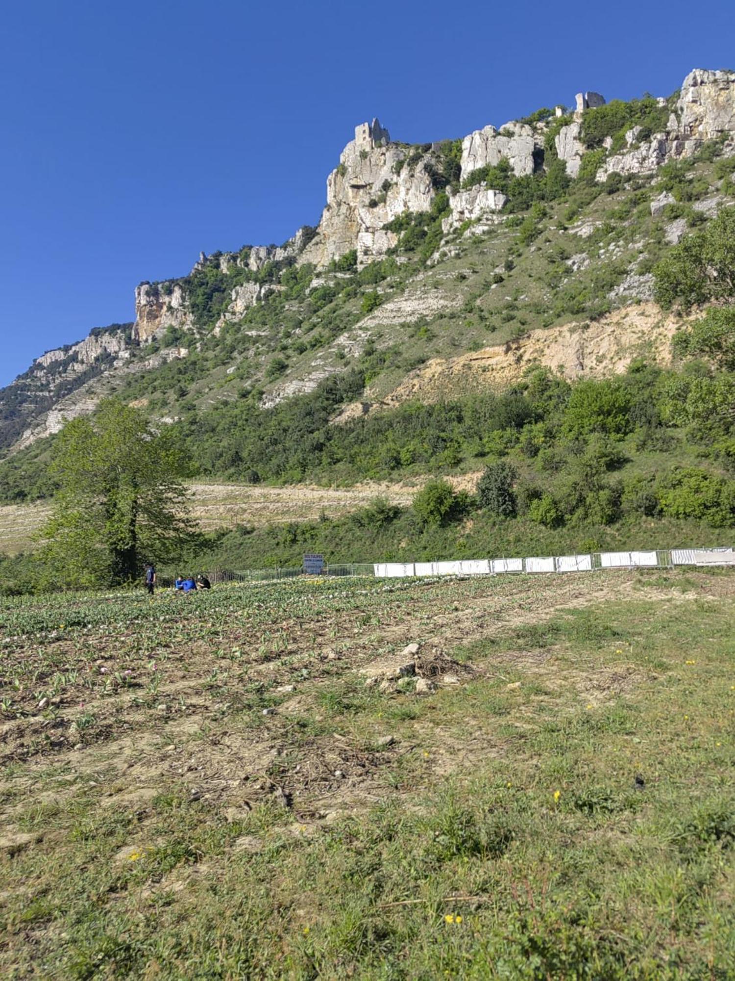 Appartement A Valence Βαλένς Εξωτερικό φωτογραφία